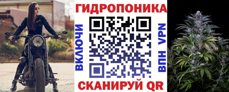 кракен ТОР  даркнет сайт  Фокино  Шишки марихуана сатива 